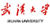 武汉大学